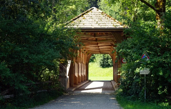 Träbro och träd — Stockfoto