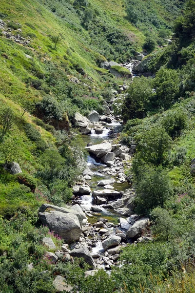 Piccolo fiume in montagna — Foto Stock