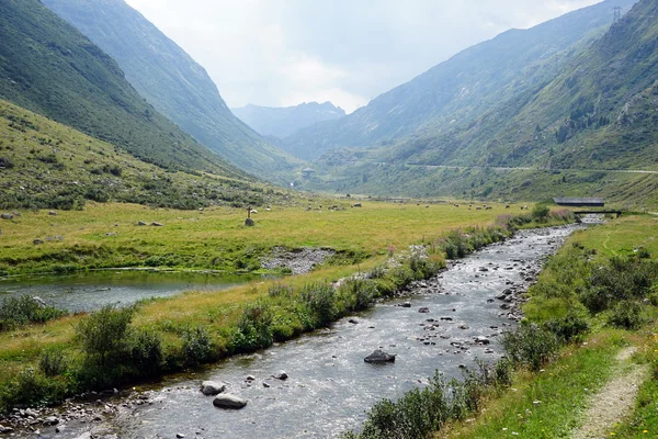 Sentiero vicino al fiume — Foto Stock