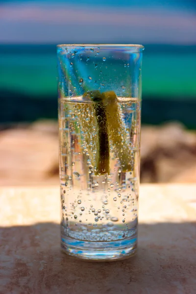 Boire avec de l'eau gazeuse et citron — Photo