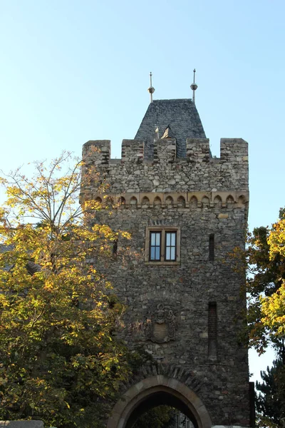 Castle Klopp Bingen River Rhine Rhineland Palatinate Germany Original Medieval — Stock Photo, Image