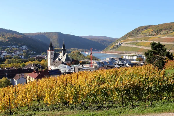 Bingen Rhein Είναι Μια Πόλη Στην Περιοχή Mainz Bingen Στη — Φωτογραφία Αρχείου