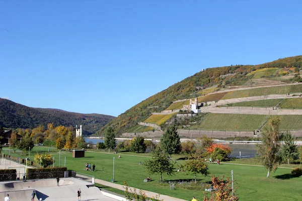 Bingen Rhein Una Ciudad Distrito Mainz Bingen Renania Palatinado Alemania —  Fotos de Stock