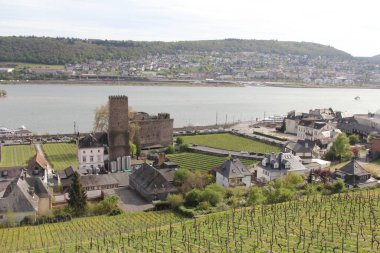 Rdesheim am Rhein ve Rheingau üzüm bağları, Almanya. Rdesheim am Rhein, Almanya 'nın Ren eyaletinde yer alan bir şehirdir.