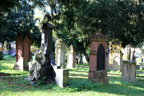 Alter Friedhof Bingen Rhein Einer Stadt Kreis Mainz Bingen Rheinland — Stockfoto