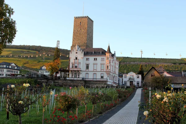 Rdesheim Rhein German Winemaking Town Rhine Gorge Part Unesco World — Stock Photo, Image