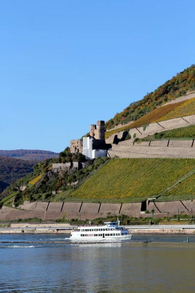 Paysage Circulation Sur Rhin Ruedesheim Rhein Allemagne — Photo