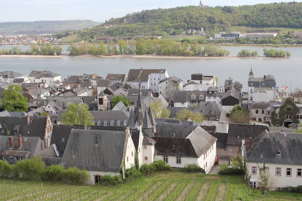 Rudesheim Rhein Vineyards Hesensko Německo Rdesheim Německé Vinařské Město Rýnské — Stock fotografie