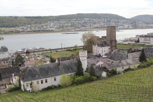 莱茵葡萄酒城 Rdesheim Rhein 是德国莱茵河的一个酿酒镇 也是联合国教科文组织世界遗产的一部分 — 图库照片