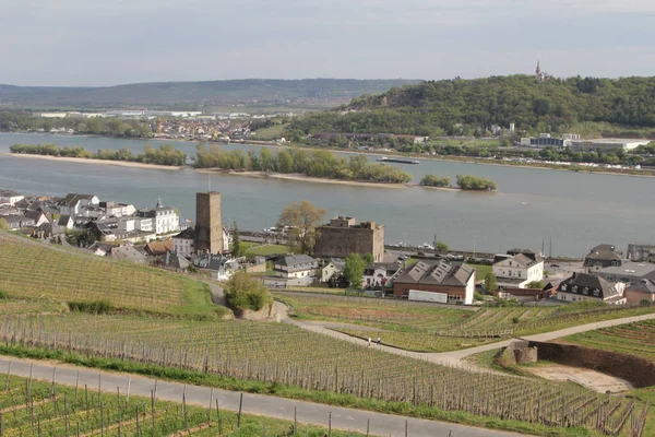 莱茵葡萄酒城 Rdesheim Rhein 是德国莱茵河的一个酿酒镇 也是联合国教科文组织世界遗产的一部分 — 图库照片