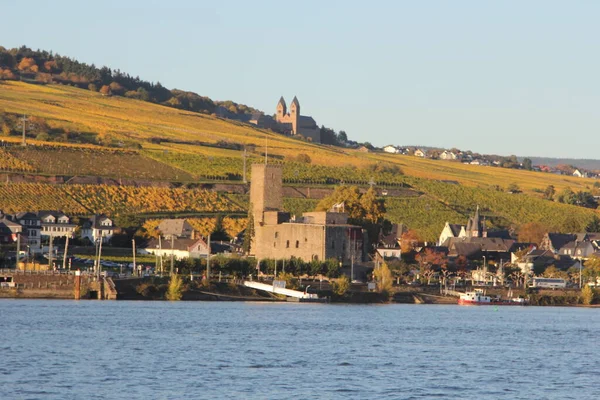 Rudesheim是德国黑森州Rhein Vineyards Rdesheim是德国莱茵河流域的一个酿酒镇 也是联合国教科文组织世界遗产的一部分 — 图库照片