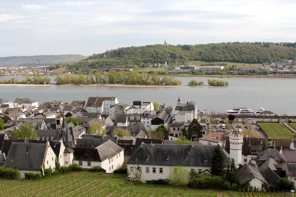 Rudesheim Rhein Vineyards Hesse Németország Rdesheim Egy Német Borászati Város — Stock Fotó