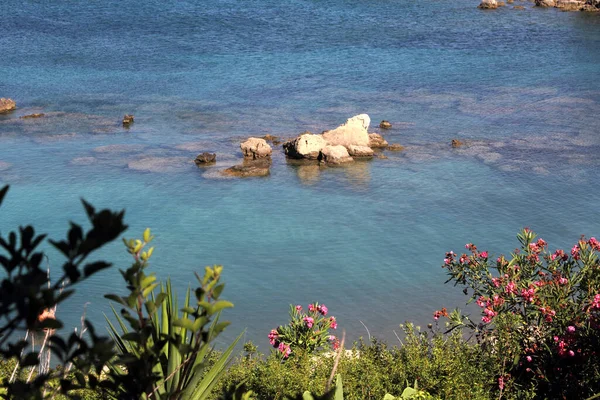 以植被为假日概念的美丽的地中海和海滨 — 图库照片