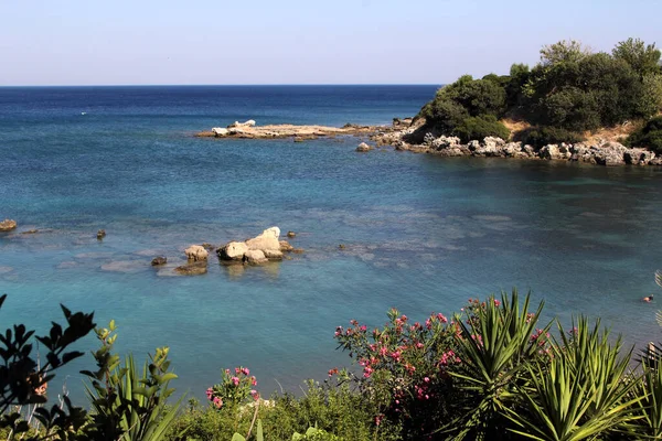 Güzel Akdeniz Tatil Konsepti Olarak Bitki Örtüsü Ile Deniz Kenarı — Stok fotoğraf