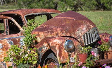 Araba mezarı çiçeklerle