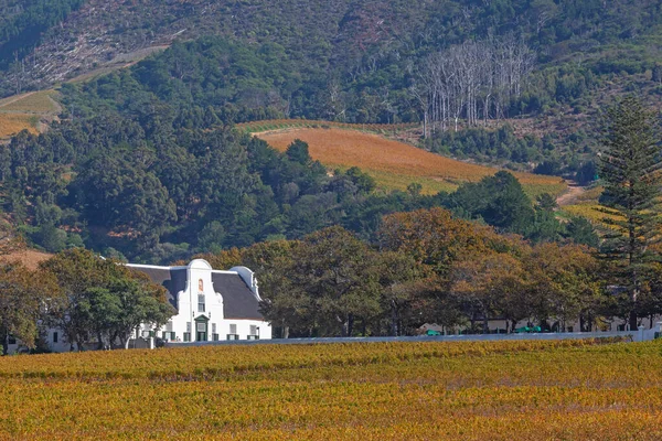 Groot Constantia Finest Surviving Example Cape Dutch Architecture One South — Stock Photo, Image