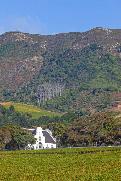 Groot Constantia Nejlepší Přežívající Příklad Mys Holandské Architektury Jeden Jihoafrických — Stock fotografie