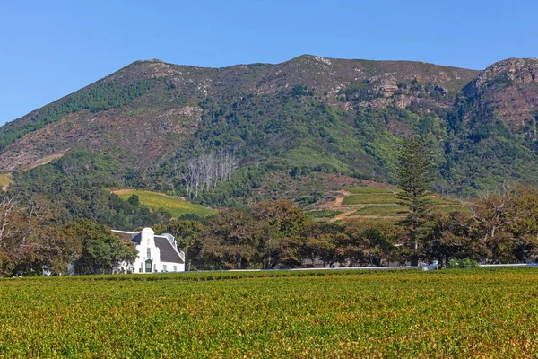 Groot Constantia Najwspanialszy Zachowany Przykład Architektury Przylądka Holenderskiego Jeden Najważniejszych — Zdjęcie stockowe