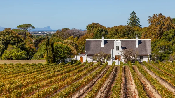 Una Bella Fattoria Olandese Del Capo Nel Terreno Groot Constantia — Foto Stock