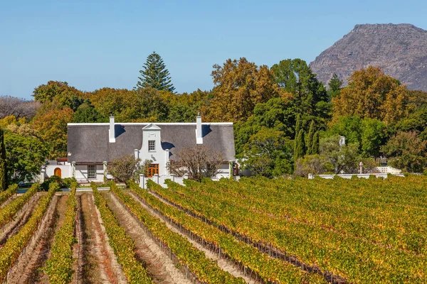 Ένα Όμορφο Cape Dutch Homestead Στο Έδαφος Της Groot Constantia — Φωτογραφία Αρχείου