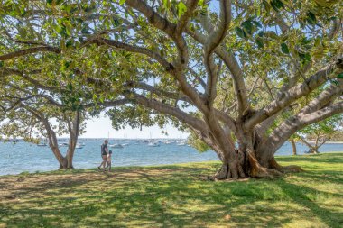 PERTH, WESTERN AUSTRALYA - 25 Ekim 2020: Kimliği belirsiz bir adam ve kızı yürüyorlar, Perth, Batı Avustralya 'da Matilda Körfezi' nde.