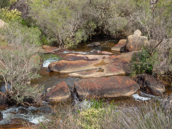 Jane Brook Flowing John Forrest National Park Perth Western Australia — Stock Photo, Image