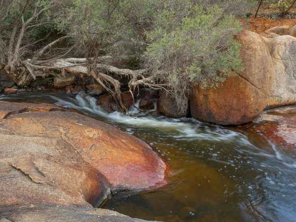 Jane Brook Flui Parque Nacional John Forrest Perto Perth Austrália — Fotografia de Stock