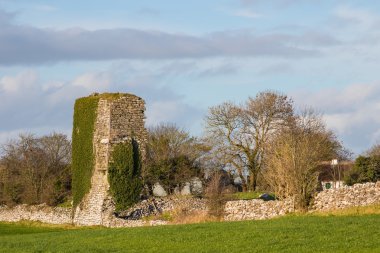 Cloughanover Castle İrlanda