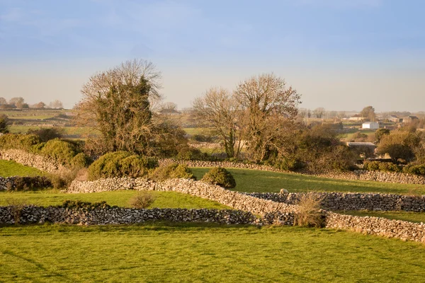 Cloughanover Pastos en Irlanda — Foto de Stock