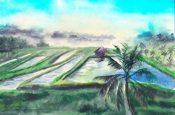 Aquarell Handgezeichnete Illustration Landschaft Mit Palmen Terrassen Reisfeld Morgen Tropische — Stockfoto