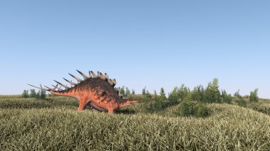 Sahada yürüme Kenrosaurus