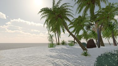 Günbatımı Palmiye kıyı