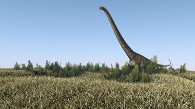 Mamenchisaurus alanına yürüyor
