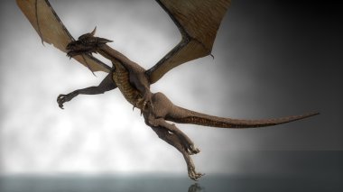 Dragon saldırıları siste