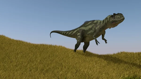 Yangchuanosaurus เดินในสนาม — ภาพถ่ายสต็อก