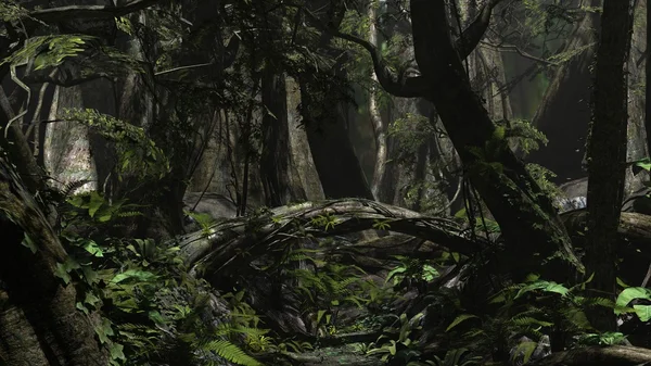 Jungle scene med slags brotræer - Stock-foto