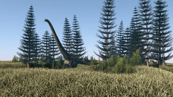 Walking mamenchisaurus in forest — Stock Photo, Image