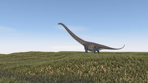Mamenchisaurus andando no campo — Fotografia de Stock