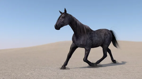 Horse running in sandy dune — Stock Photo, Image