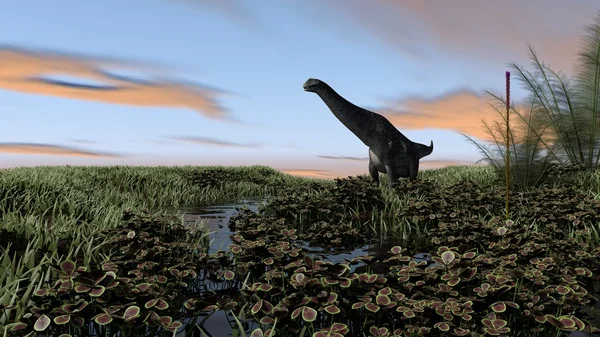 Titanosaurus in swamp waters — Stock Photo, Image