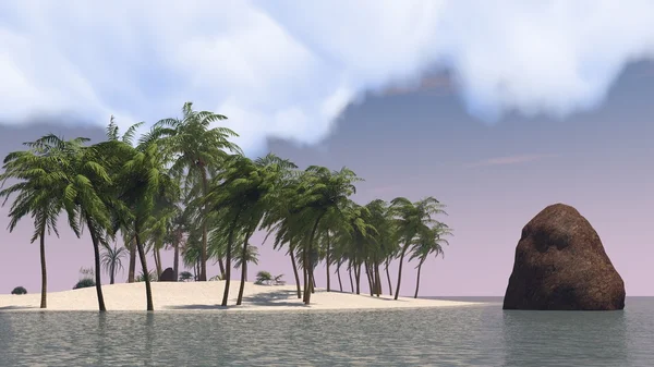 Пальмовый берег на закате — стоковое фото