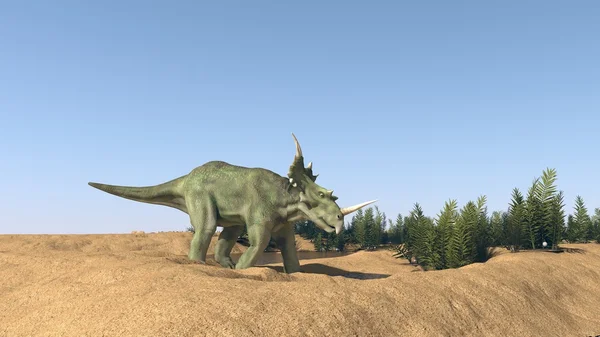 Styracosaurus al pascolo sotto il cielo blu — Foto Stock