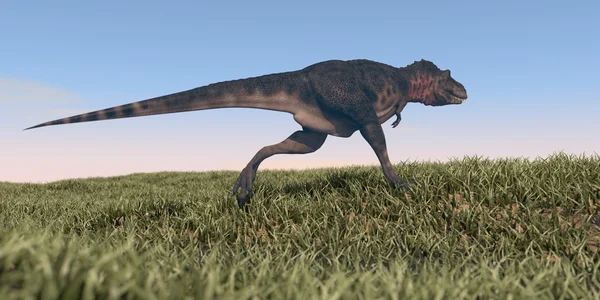 Běh tarbosaurus v poli — Stock fotografie