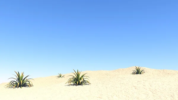 Desert landscape with blue sky — Stock Photo, Image