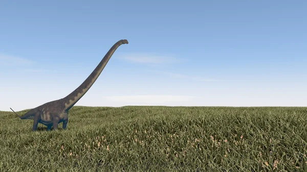 Mamenchisaurus caminando en el campo — Foto de Stock