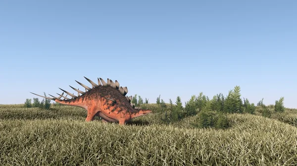 Kenrosaurus caminhando no campo — Fotografia de Stock