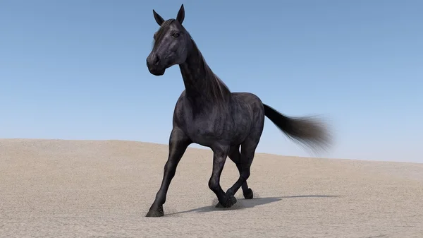 Horse running in sandy dune — Stock Photo, Image