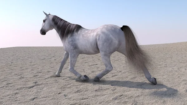White horse running in sand — Stock Photo, Image