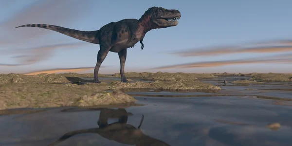 Tarbosaurus ходіння по напоєний місцевості — стокове фото