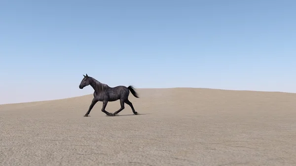 Kůň běží v písečné duny — Stock fotografie